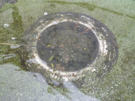 Verstopte hemelwaterafvoer op een plat dak als oorzaak van lekkage