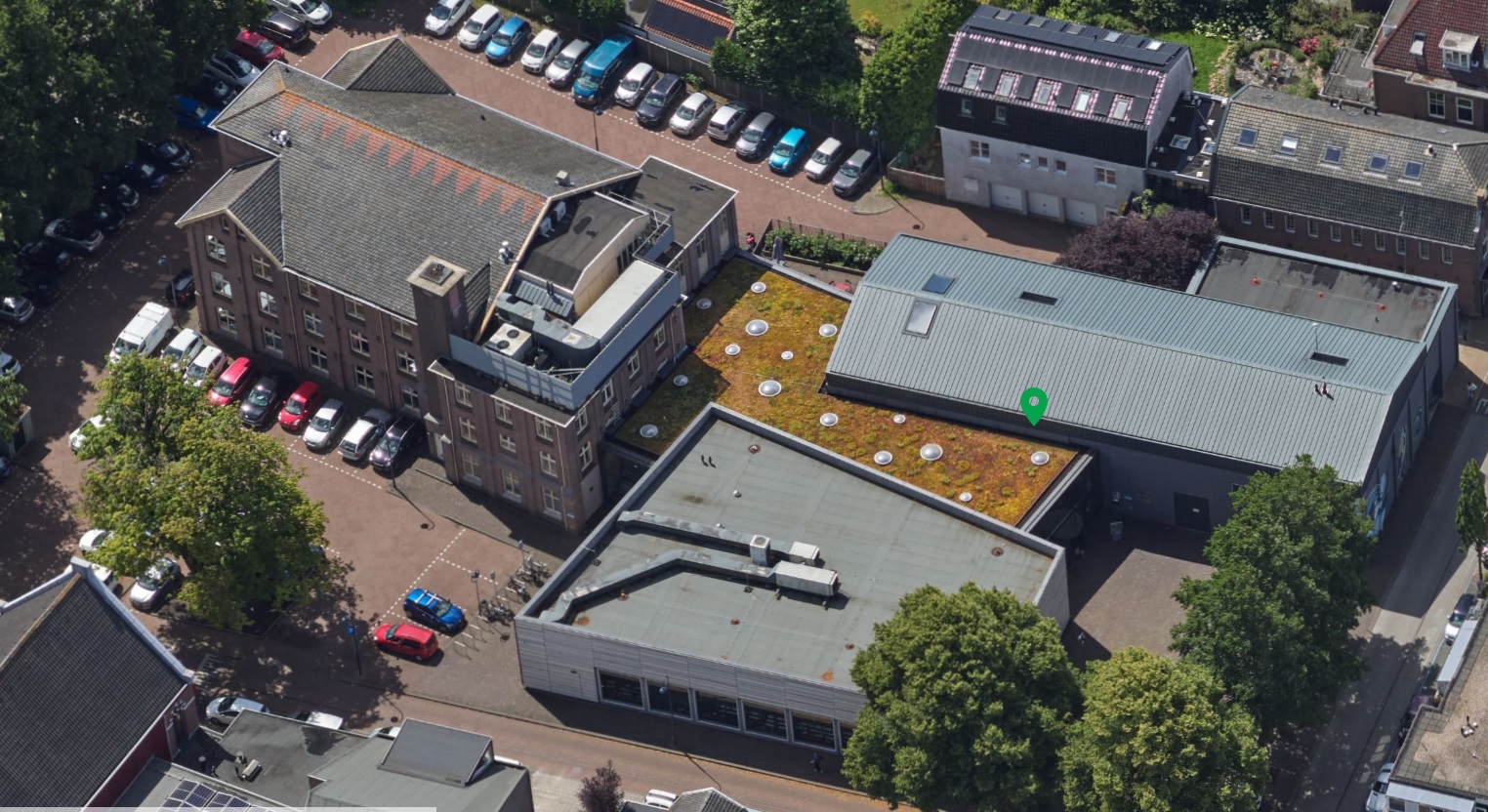 Sedumdak op een plat dak van een gebouw